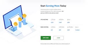 Start Earning More Hosinger